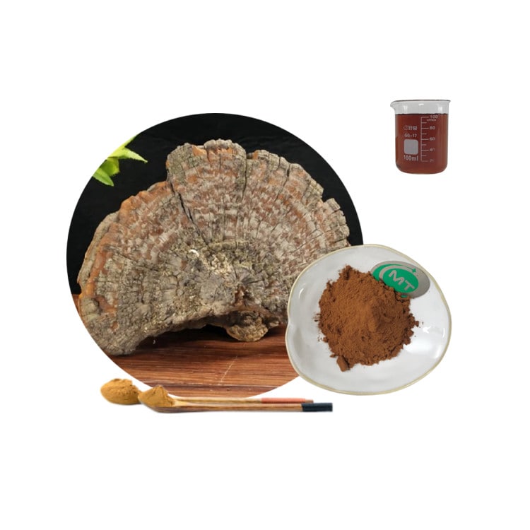 Trametes robiniophila Extract