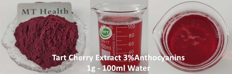 Tart cherry Extract插图1 Tart cherry Extract