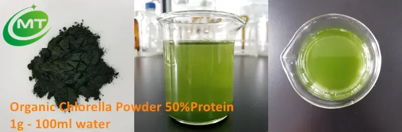 Chlorella Powder插图1 Chlorella Powder