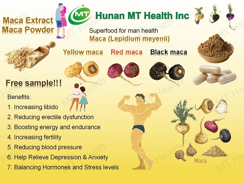 Maca Extract插图1 Maca Extract