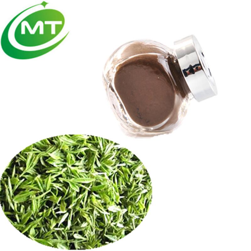 Skin Care Effect Of Tea Extract