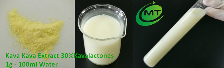 Kava Powder插图1 Kava Powder